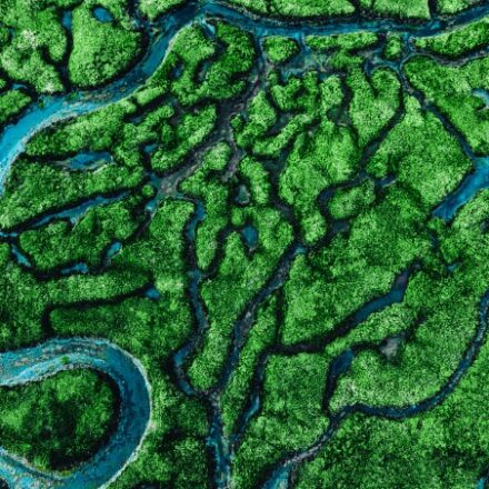 Stop! In the name of interlocutory injunctions: lessons from 2024