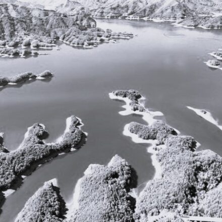 Ocean Bound or Ocean Found? Clorox’s Greenwashing Costs $8.25 Million